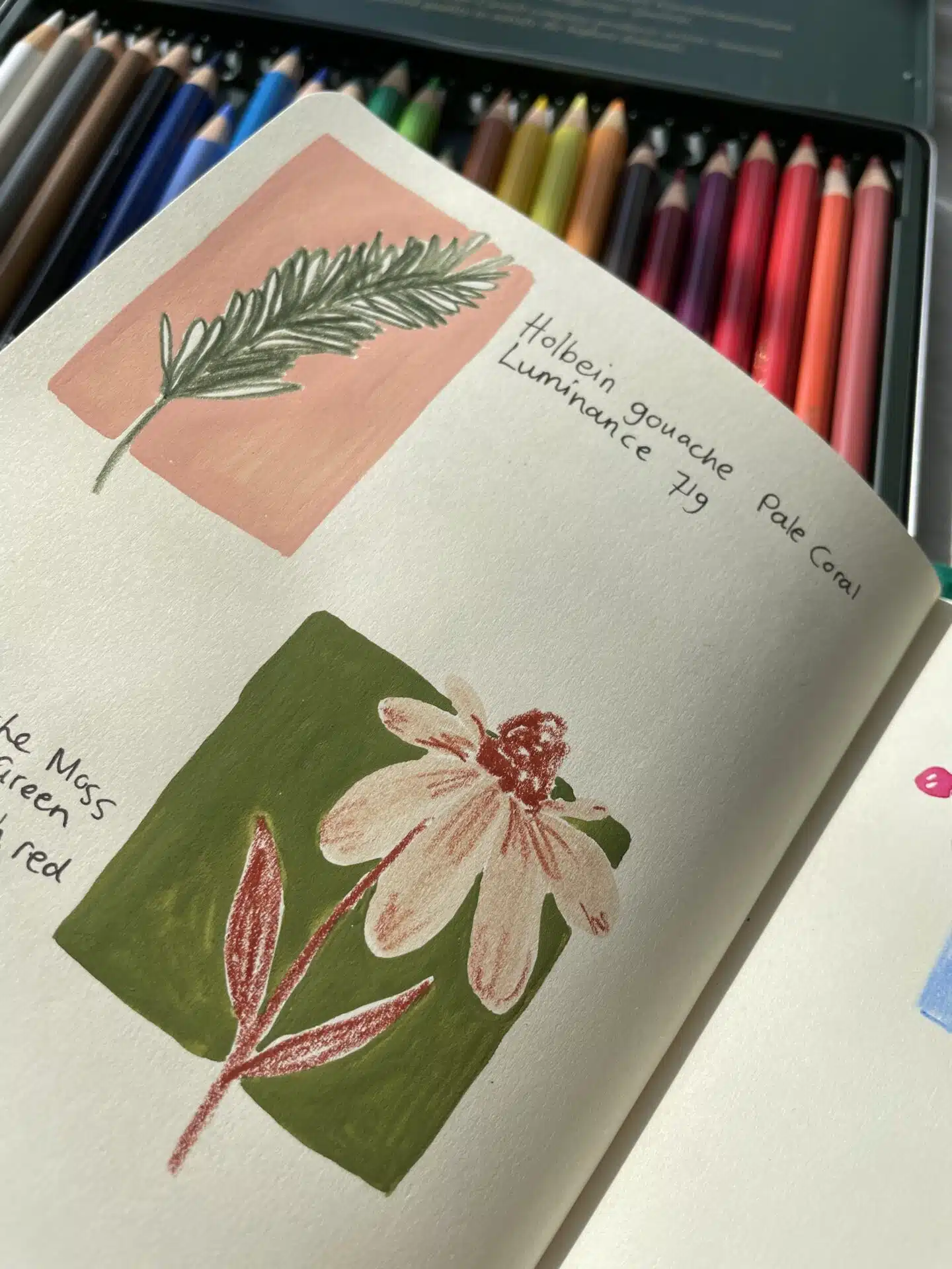 Workshop 14 november 2026 - Vul je schetsboek met bloemen XL - Afbeelding 10